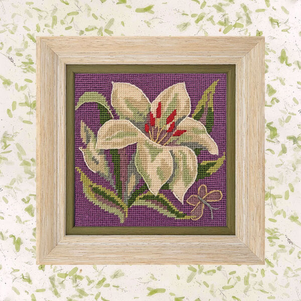 Lily Mini Mauve Background